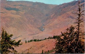 Hells Canyon Devil’s Throne Idaho Side Snake River Rock Walls Postcard Unused 