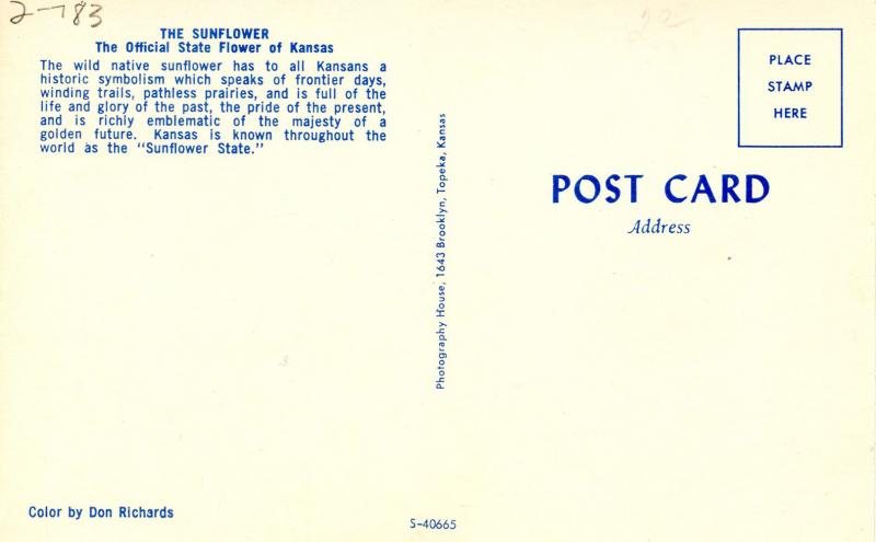 Kansas State Flower - Sunflower