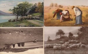 Mountain Moor and Lock Farming 4x Vintage Real Photo Postcard s