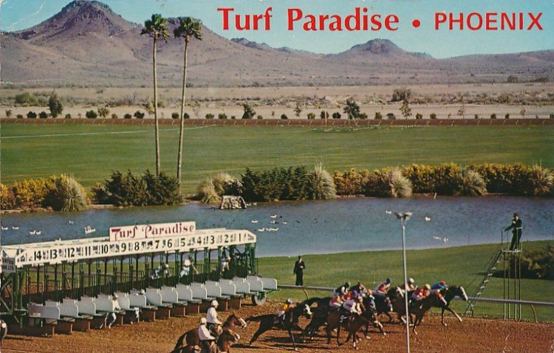 Turf Paradise Horse Racing Starting Gate - Phoenix AZ, Arizona