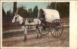 Black Americana? Virginia Vegetable Cart Detroit Publishing Postcard rpx