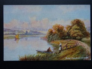 Sussex ARUNDEL River Meadows c1906 Postcard by S. Hildesheimer 5402