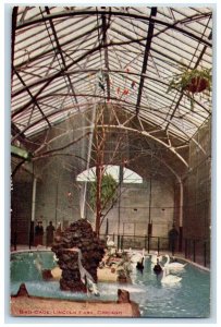 c1910's Bird Cage Lincoln Fark Chicago Illinois IL, Water Fountain Postcard