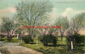 KS, Manhattan, Kansas, City Park, South-West News Co No C14442