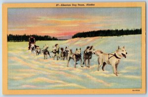 Alaska AK Postcard Siberian Dog Team Winter Scene Animals c1940's Vintage