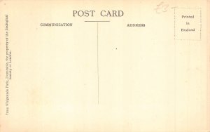 A729 Animals Polar Bear Whipsnade vintage postcard