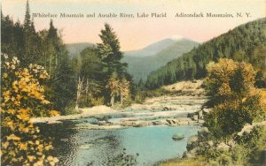 Adirondack New York Hand Colored Whiteface Mountain 1920s Postcard 21-3252