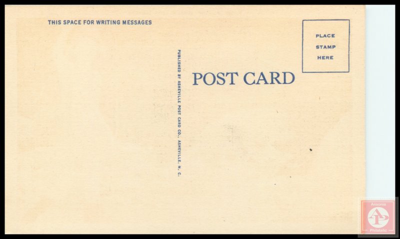 A Fine Catch for Anyone