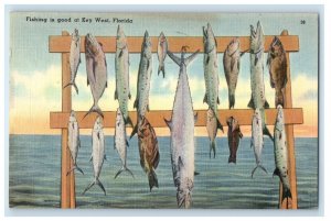1951 Fishing Is A Good At Key West Florida FL Posted Vintage Postcard 