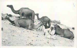 Saudi Arabia native type nomad life camels real photo postcard 