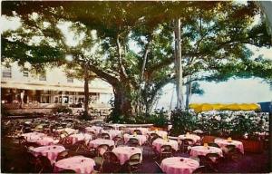 HI, Lanai, Hawaii, Moana Hotel, Banyan Court, Mike Roberts C7645