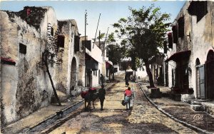 Lot130 africa sidi bou saids tunisia real photo a street types donkey folklore