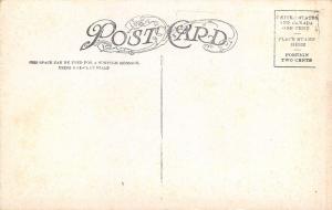 Denver CO Twin Towers of St Leo's Catholic Church (Torn Down 1965) c1910 PC