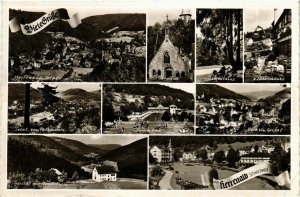 CPA AK Bad Herrenalb- souvenir GERMANY (903067)