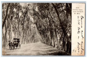1907 Lovers Lane Near Roswell New Mexico NM, Horse Carriage Scene Postcard