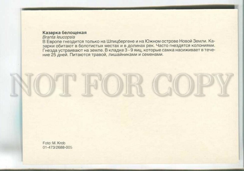 195563 Europe barnacle old postcard