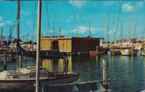 Florida St Petersburg Yacht Harbor & Municipal Marina