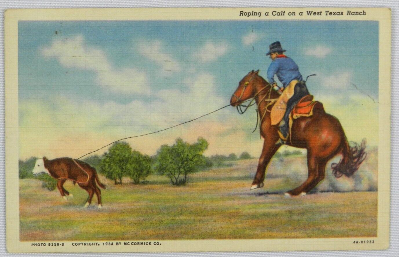 Cowboy Roping a Calf on a West Texas Ranch with Lasso - Vintage ...