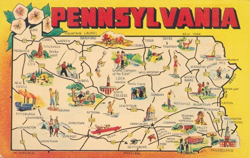 Map of Pennsylvania - The Keystone State - Flower Mountain Laurel