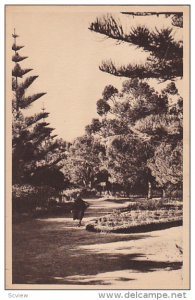 MAZAGAN, Morocco, 1900-1910's; Paul Doumer Park