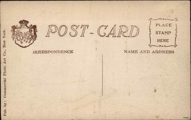 Baldwin Long Island New York NY Silver Lake c1910 Postcard