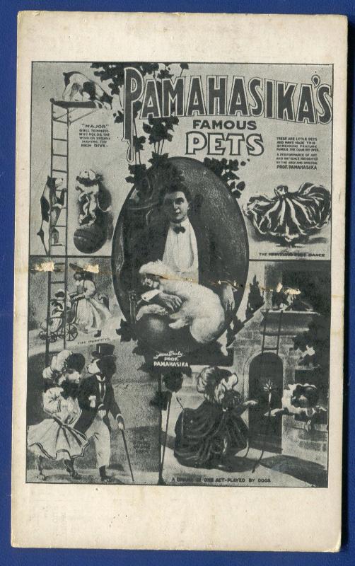 Pamahasikas Famous Pets Circus Dressed Animals Advertising Postcard