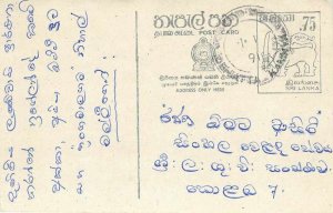 Entier Postal Stationery Postal Sri Lanka Ceylon Lion