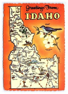 Greetings From Idaho Continental View Map Postcard