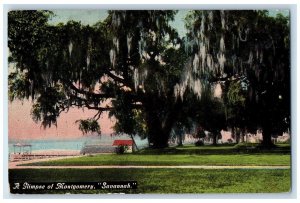 c1905 A Glimpse Of Montgomery Savannah Georgia GA Antique Unposted Postcard