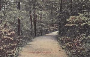 Rustic Bridge and Trail in Seneca Park - Rochester NY, New York - pm 1909 - DB