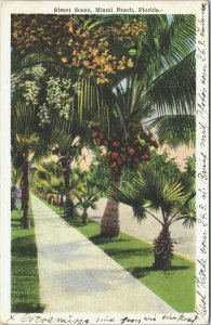 USA Street Scene Miami Beach Florida Vintage Postcard 03.47