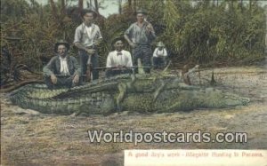 Allegator Hunting Panama Postcard