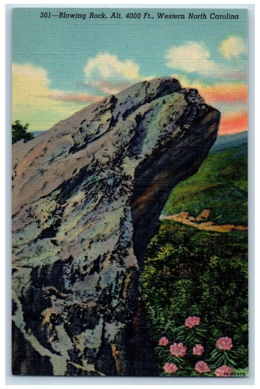 Blowing Rock North Carolina NC Postcard Cliff Trees Scenic View c1940's Vintage