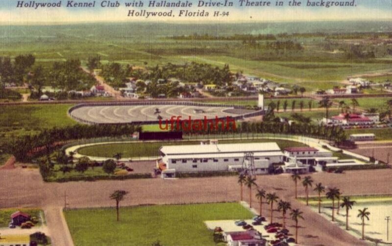 HOLLYWOOD KENNEL CLUB & HALLANDALE DRIVE-IN THEATRE IN BACKGROUND 1957 FLORIDA