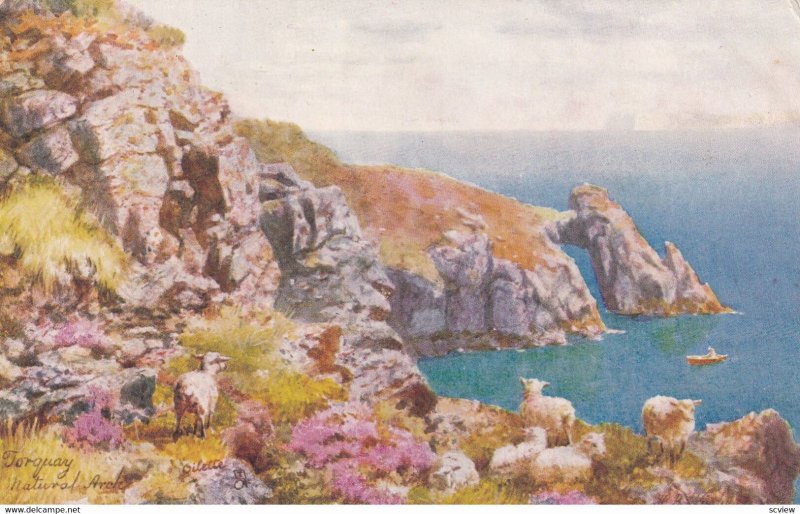 TORQUAY, Devon, England, 1900-1910s; The Natural Arch, TUCK #7367