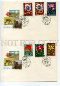 484275 USSR 1974 year set of FDC Ryakhovsky Flora of the USSR