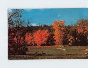 Postcard Autumn Glory on The Golf Course, Bethel Inn, Bethel, Maine