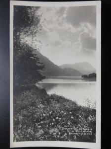 Cumbria: DAFFODILS ON MARGIN OF ULLSWATER - RP Old Postcard - Pub by Abraham