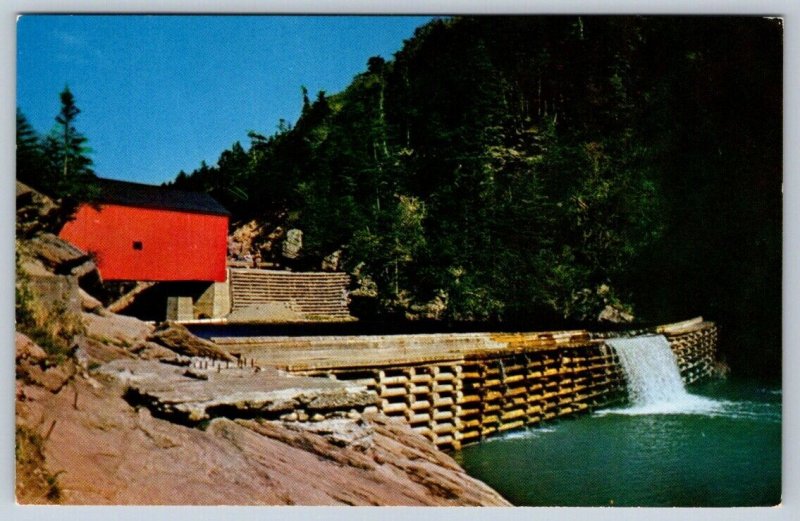 Covered Bridge, Point Wolfe, Fundy National Park New Brunswick, Vintage Postcard