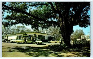 ALBANY, GA Georgia ~ Roadside MERRY ACRES RESTAURANT c1950s Cars Postcard