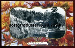 h3742- ST. JOHN NB Postcard 1910s Rockwood Park Pool Patriotic Beaver by Warwick