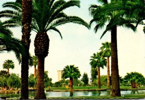 Arizona Phoenix Encanto Park