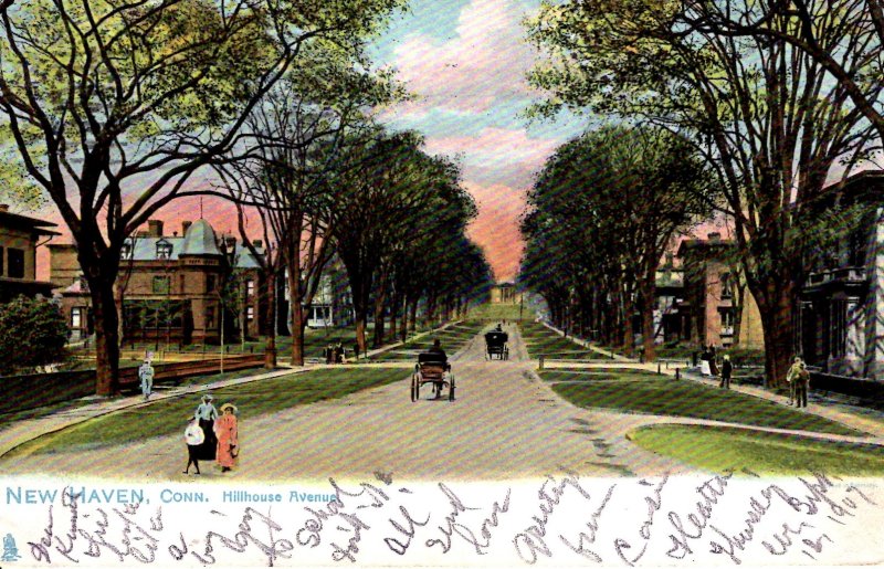 New Haven, Connecticut - Horse and Buggy down Hillhouse Avenue - in 1907