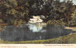 North Water Gap Pennsylvania Buttermilk Falls Scenic View Postcard J72076
