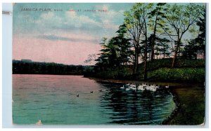 c1910 Fowl at Jamaica Pond Jamaica Plain Massachusetts MA Posted Postcard 