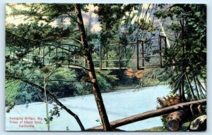 SANTA CRUZ, CA California ~ SWINGING BRIDGE Near BIG TREES c1910s  Postcard
