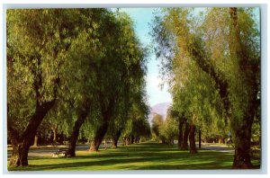 Ontario California Postcard Euclid Avenue Looking North Showing Mountain c1960's