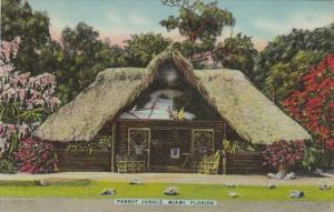 Florida Miami Parrot Jungle Entrance