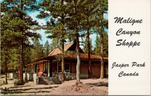 Tea House Maligne Canyon Shoppe Jasper Alberta AB Unused Vintage Postcard D80