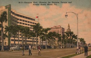 Miami FL-Florida, Biscayne Blvd. Showing Terrace & Alcazar Hotels Old Postcard